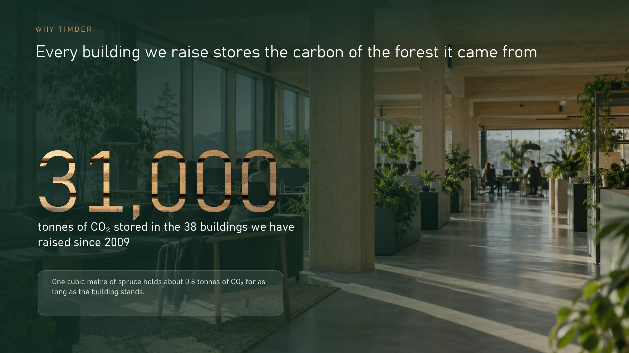 Vesta Timber: Why timber
